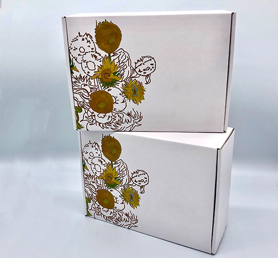 飛機(jī)盒彩箱定制批發(fā) 三層紙箱飛機(jī)盒生產(chǎn)廠家 飛機(jī)盒彩箱定制批發(fā) 三層紙箱飛機(jī)盒生產(chǎn)廠家